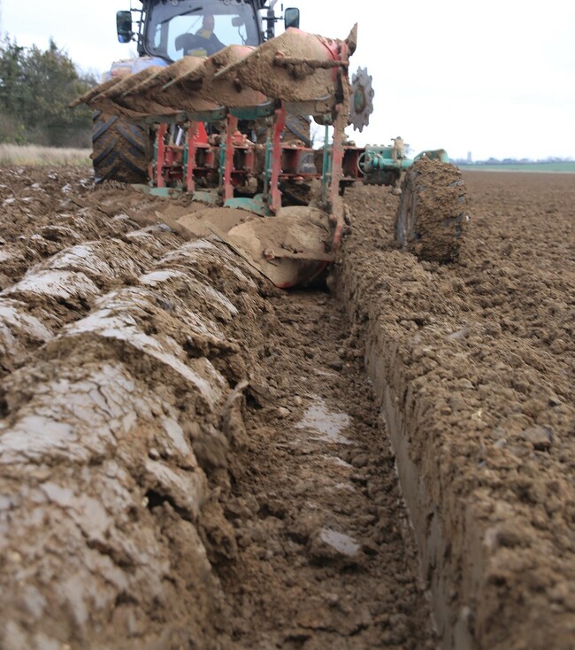 No 38 bodies cropped