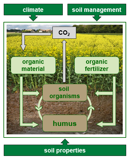 2021-11-19 17_34_26-Extract from WIP Humus - Carbon - CO2 [Read-Only] - PowerPoint